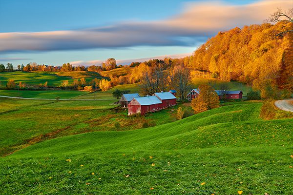 Farm